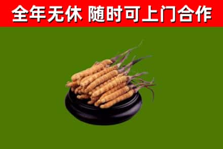 古塔回收冬虫夏草